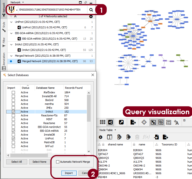 Steps and results from the PTEN query in PSICQUIC core app of Cytoscape (version 3.8.2). The different PTEN IDs are selected in the PSICQUIC search tool bar in Step 1. In the new Cytoscape window, the interactions from the different databases are selected to import as a new network (Step 2). If different databases are selected, the resulting networks can be merged or displayed separately. Finally, the query visualization of the merged results show different networks with PTEN as a central node, in most of the networks.