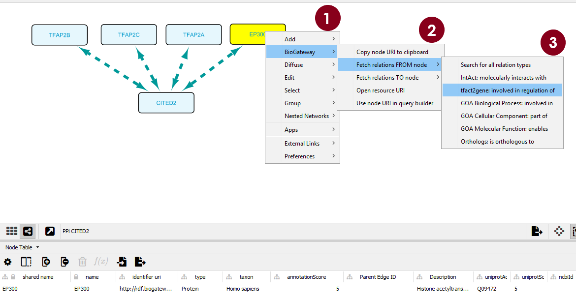 From the EP300 node (dbTF), a pop-up menu comes, and the Biogateway option is selected (Step 1). Next, to find the TGs regulated by this node, the relations FROM this node (Step 2) and the "tfac2gene" type of relationship (Step 3) are selected for the query.