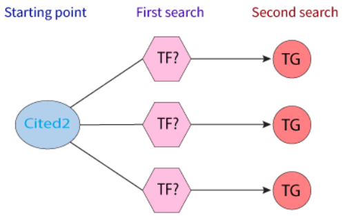 CITED2-query