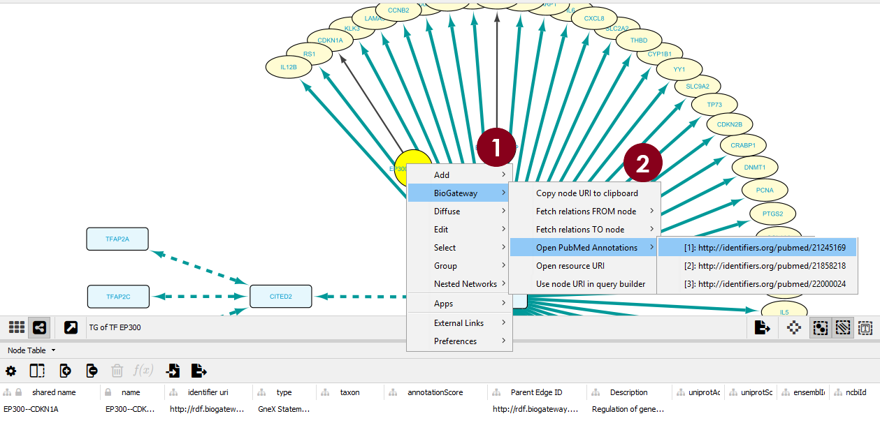 By double-clicking an interaction between the dbTF and a TG, a new node is created, and, from this one, the BioGateway options can be opened (Step 1). Then, the PubMed annotations of this interaction can be opened in an Internet explorer (Step 2).