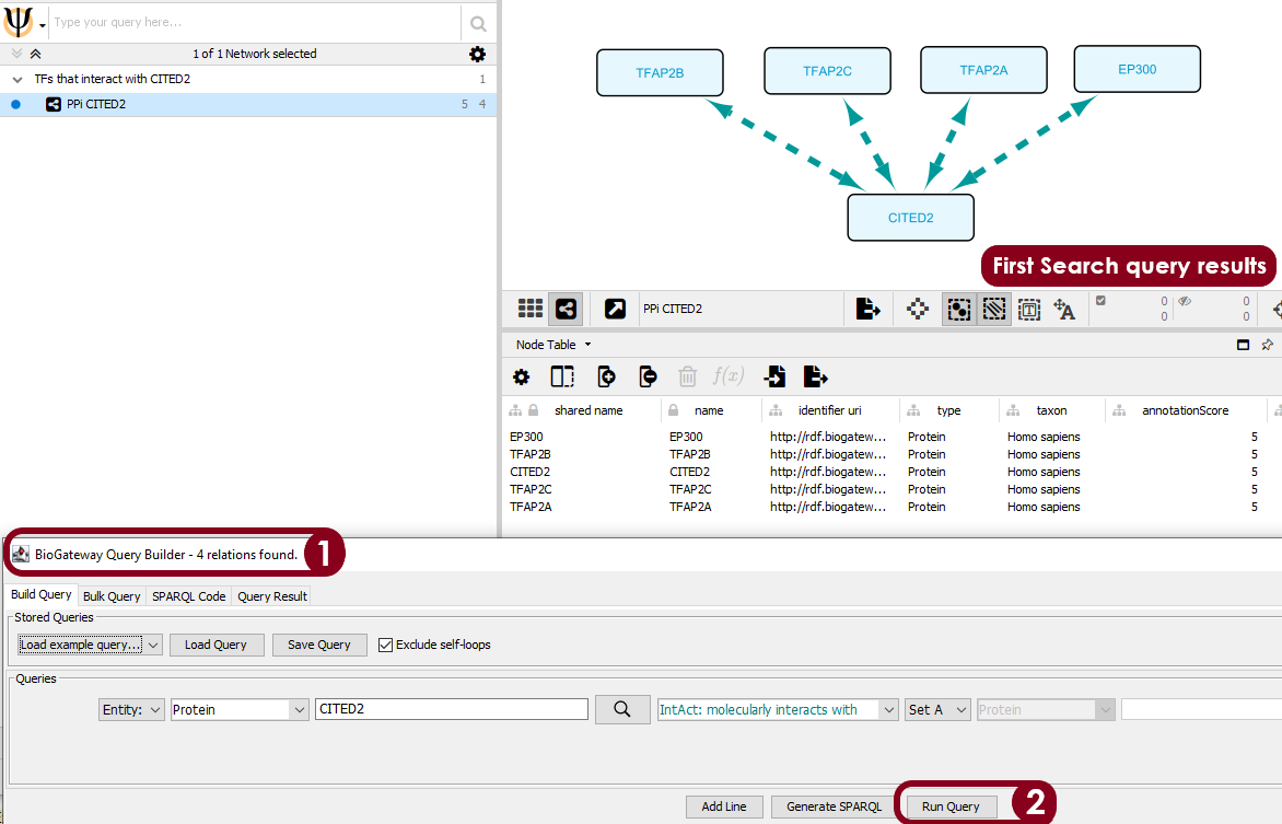 The query is defined in the BioGateway Query Builder to first search for the proteins (TFs) that interact with CITED2 (Step 1). After the query is ran (Step 2), the results are imported into a new network and the query results are visualized with the BioGateway style.