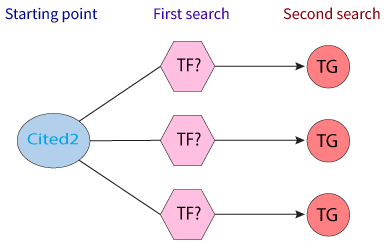 CITED2-query CITED2-query